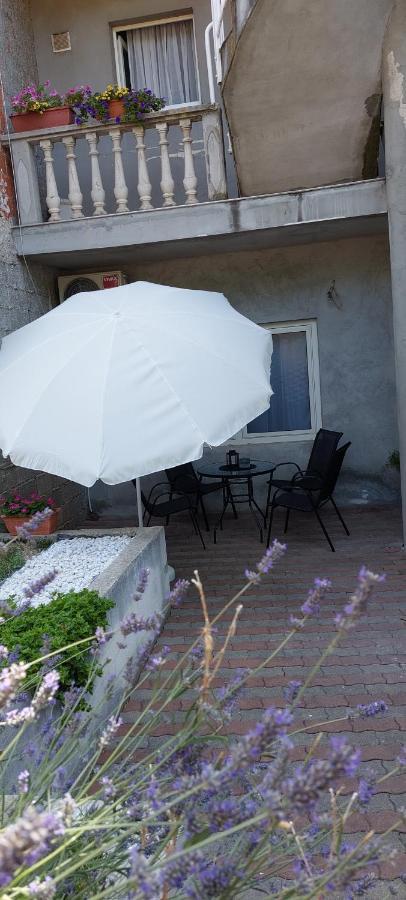 Apartman Marin - Zadar Exterior photo