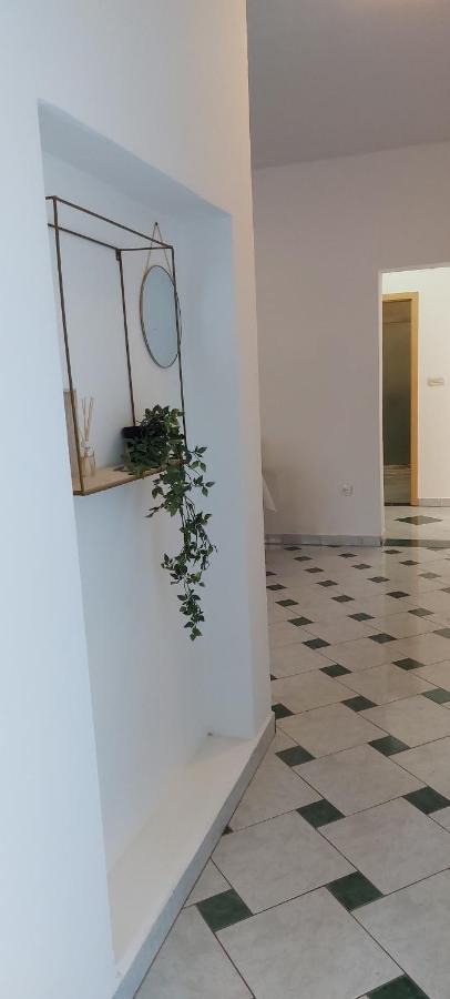 Apartman Marin - Zadar Exterior photo